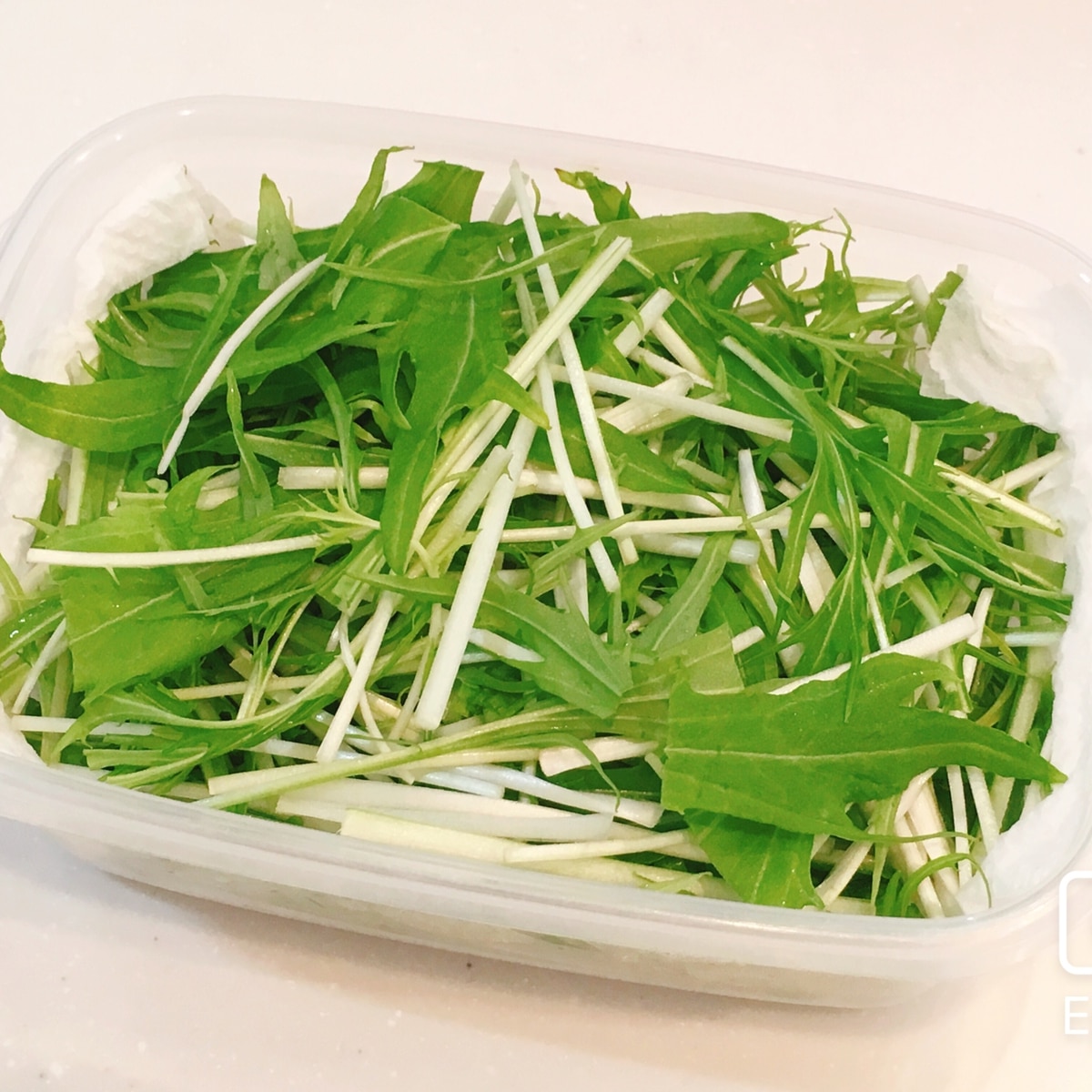 長持ち 水菜の冷蔵 冷凍保存方法 レシピ 作り方 By 新米幸せママ 楽天レシピ 長持ち 水菜の冷蔵 冷凍保存方法 レシピ 作り方 By 新米幸せママ 楽天レシピ